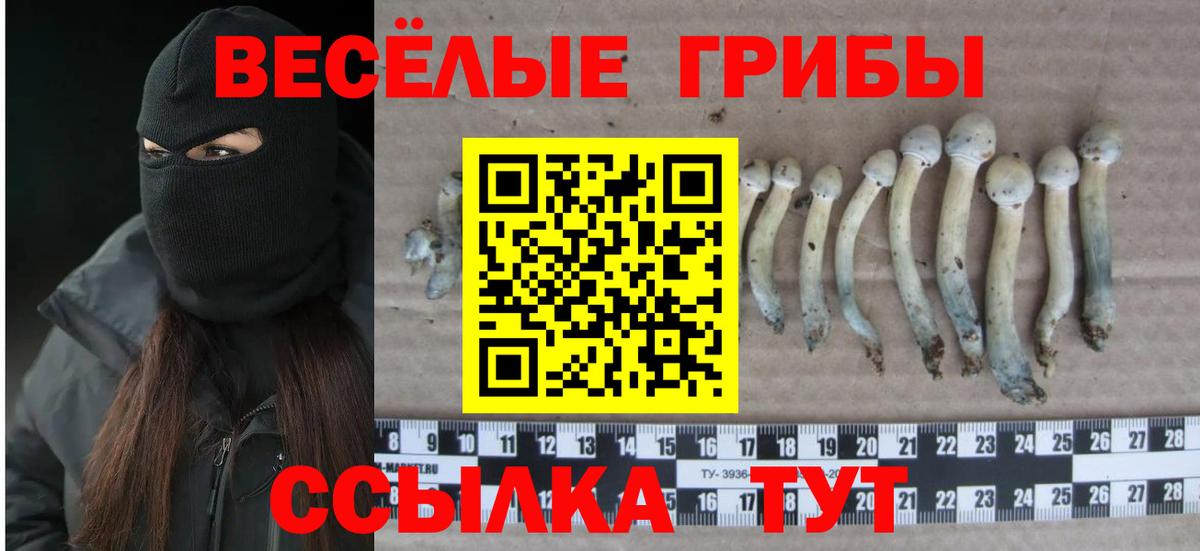 Псилоцибиновые грибы Magic Shrooms  купить  сайты  Коряжма  Вход с VPN 