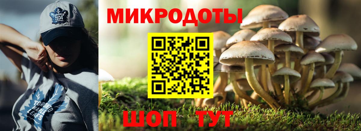 Галлюциногенные грибы Magic Shrooms Коряжма